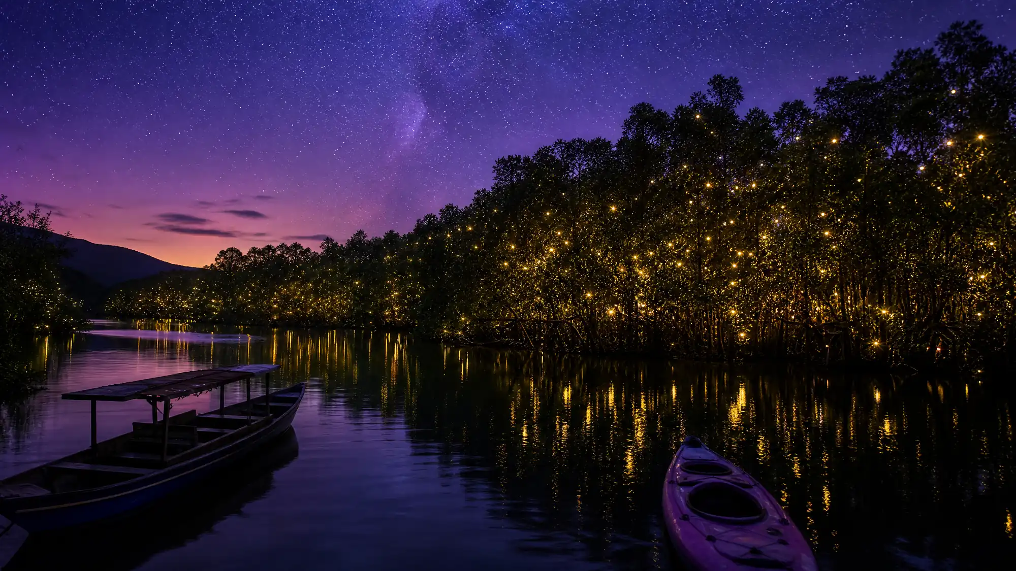 Observez des milliers de lucioles synchrones illuminer la mangrove lors d’une excursion guidée en bateau ou en kayak, en soirée, le long de la rivière Abatan à Bohol.