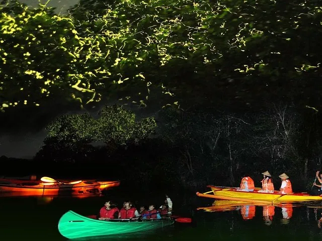 Touristes sur des bateaux observant des lucioles pullulant dans les arbres, la nuit